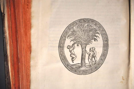 Floridorum, Libri quatuor, ab joanne pyrrho Englebermeo juris consultissimo et cultioris literaturae doctissimo recogniti : Graphicisq admodum ...