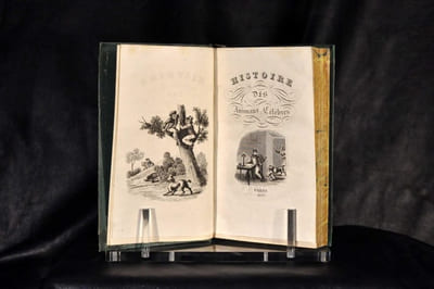 Les fous célèbres, Histoire des hommes qui se sont le plus singularisés par leur monomanie, leur originalités et leur extravagances. Précédé de : Histoire des Animaux Célèbres.