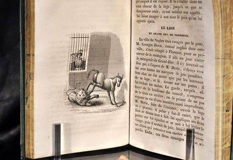 Les fous célèbres, Histoire des hommes qui se sont le plus singularisés par leur monomanie, leur originalités et leur extravagances. Précédé de : ...