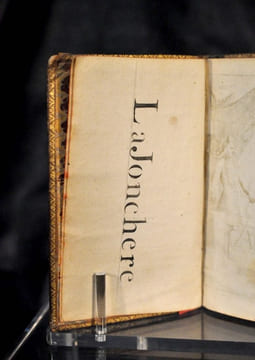 Cruels effets de la Vengeance du Cardinal de Richelieu, ou Histoire des Diables de Loudun ou de la Possession des Religieuses Ursulines, et de la ...