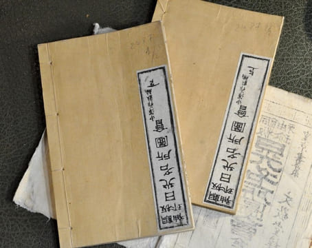 Vues célèbres de Nikko. Nikko Meisho