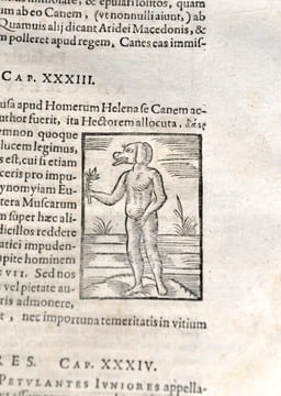 Ioannis Pierii valeriani bellunensis, Hieroglyphica, siveDe Sacri Aegyptiorum. VALERIANO BOLZANO, Giovanni Pierio (1477-1558).