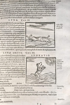 Ioannis Pierii valeriani bellunensis, Hieroglyphica, siveDe Sacri Aegyptiorum. VALERIANO BOLZANO, Giovanni Pierio (1477-1558).