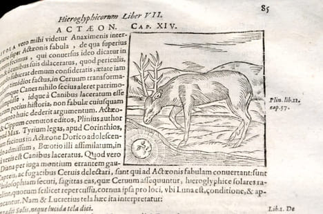 Ioannis Pierii valeriani bellunensis, Hieroglyphica, siveDe Sacri Aegyptiorum. VALERIANO BOLZANO, Giovanni Pierio (1477-1558).