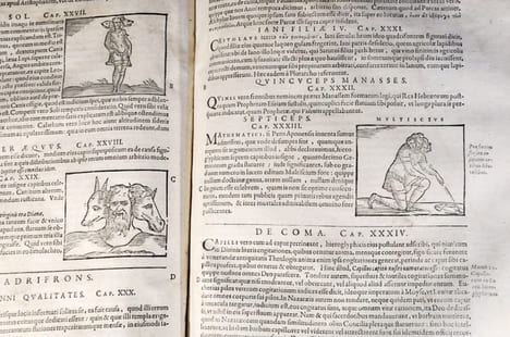 Ioannis Pierii valeriani bellunensis, Hieroglyphica, siveDe Sacri Aegyptiorum. VALERIANO BOLZANO, Giovanni Pierio (1477-1558).