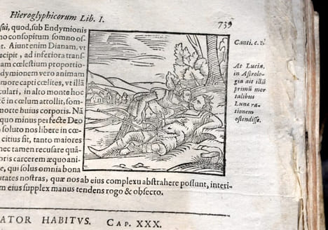 Ioannis Pierii valeriani bellunensis, Hieroglyphica, siveDe Sacri Aegyptiorum. VALERIANO BOLZANO, Giovanni Pierio (1477-1558).