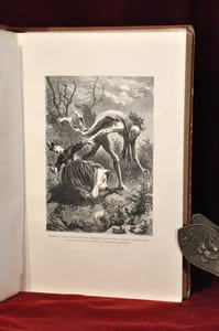 Contes fantasques et fantastiques Illustration d’Horace Castelli