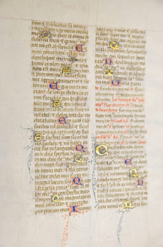 Feuillet manuscrit extrait d’un bréviaire . undefined