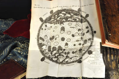 Recherches sur la nature du feu de l'enfer et du lieu où il est situé. Traduit de l'anglois par M. Bion.
