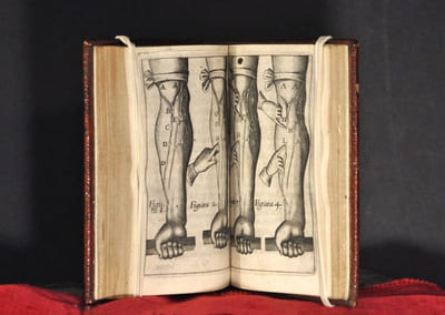 Dct : & Prosess : Regii Exercitatio Anatomica De motu cordis & sanguinis. Cum Praesatione ZACHARIAE SYLVIIMedici Roterodamensis. Accessit Dissertatio de Corde Doct. Jacobi de Back, Urbis