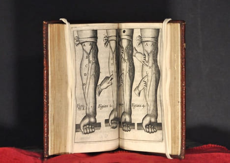 Dct : & Prosess : Regii Exercitatio Anatomica De motu cordis & sanguinis. Cum Praesatione ZACHARIAE SYLVIIMedici Roterodamensis. Accessit Dissertatio ...