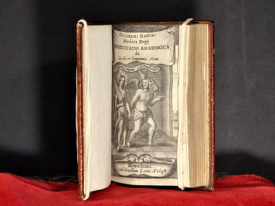 Dct : & Prosess : Regii Exercitatio Anatomica De motu cordis & sanguinis. Cum Praesatione ZACHARIAE SYLVIIMedici Roterodamensis. Accessit Dissertatio de Corde Doct. Jacobi de Back, Urbis