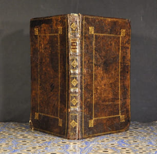 D. Marci Serenissimo annuente Senatu Equitis, Medici, Philosophi, ac il Patauino Lyceo Mathematicas Scientias prositentis, De Diebus Criticis, De Aegrorum Decubitu, 