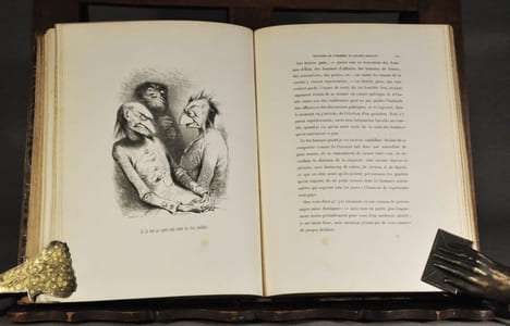 Voyage où il vous plaira. MUSSET (Alfred de); STAHL (P.J)