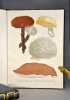 Histoire des champignons comestibles et vénéneux. ROCQUES (Joseph)
