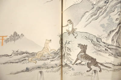 Fables choisies [ou] Choix de fables de La Fontaine illustrées par un groupe des meilleurs artistes de Tokio, sous la direction de P. Barboutau