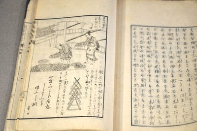 Nouvelle méthode de l’élevage des vers a soie par Shiraï Takondjï 