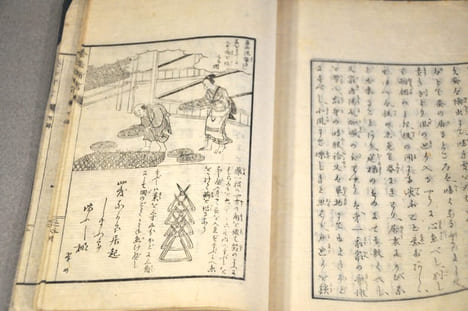 Nouvelle méthode de l’élevage des vers a soie par Shiraï Takondjï . undefined