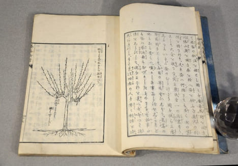Nouvelle méthode de l’élevage des vers a soie par Shiraï Takondjï . undefined