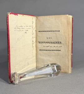 Les Toulousaines ou lettres historiques et apologétiques en faveur de la religion réformée, & de divers protestans condamnés dans ces derniers tems par le Parlement de Toulouse, ou dans le Haut Languedoc.