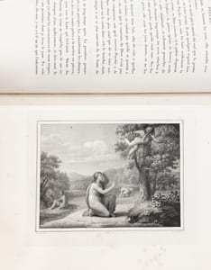 Les amours de Psyché et de Cupidon , lithographiés d’après les dessins de Raphaël, par MM. Bouillon, Beaugard-Thill, Chatillon, Dejuine, Fragonard, Maurin, Zwinger, etcsous la direction de M.h. Castel de Courval. 