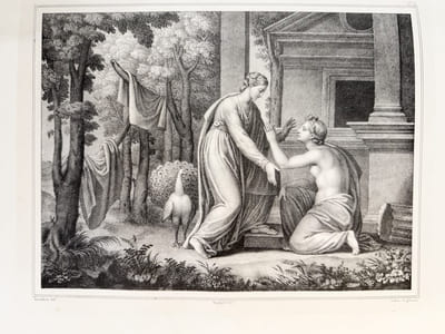 Les amours de Psyché et de Cupidon , lithographiés d’après les dessins de Raphaël, par MM. Bouillon, Beaugard-Thill, Chatillon, Dejuine, Fragonard, Maurin, Zwinger, etcsous la direction de M.h. Castel de Courval. 