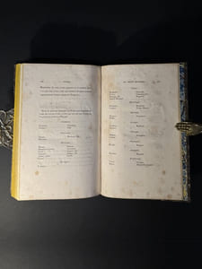 Napoléon en Égypte