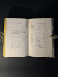 Napoléon en Égypte