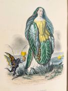 Les fleurs animées par J.J. Grandville  par GRANDVILLE (J.J.)  - Image 1