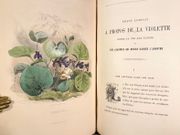 Les fleurs animées par J.J. Grandville  par GRANDVILLE (J.J.)  - Image 3