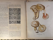 Œuvre Badines, complètes, du conte de Caylus. Avec figures. par CAYLUS (Anne Claude de)  - Image 2