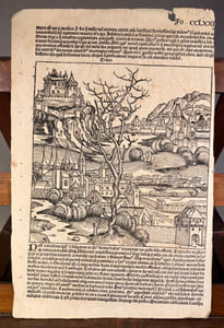 Grande impression incunable extraire de la Grande chronique de Nuremberg 