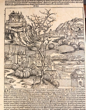 Grande impression incunable extraire de la Grande chronique de Nuremberg . undefined
