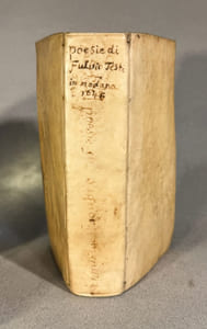 Raccolta generale delle poesie del Signor Commendator dell’ Inoiosa Il co : D. Fulvio Testi Cavalier di S. Iago. __Divisa il tre parte. Dedicata al Sereniss Prioncipe. Cesare d’EST. Fratello del sereniss. Duca di Modana ___ Suivi de : L’isola d’Alcina. Tragedia Del Signor Conte.D. Fulvio Testi Cavaliere dell’Ordine di san Iago, e Commendatore dell’ Innoiosa. 