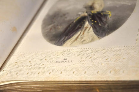 Perles et Parures. Les Joyaux, fantaisie par Gavarni, texte par Méry. Minéralogie des dames par le comte Fœlix. - Les Parures, fantaisie par Gavarni, ...