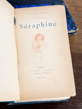 Séraphine. Souvenirs de jeunesse. Amélie. Jean-François Les-Bas-Bleus. Illustrations de G. Picard. Nodier (Charles)