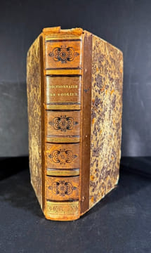 Dictionnaire géographique universel de Vosgien, totalement refondu et mis au niveau de la science moderne : purgé de plus de 500 doubles emplois, ...