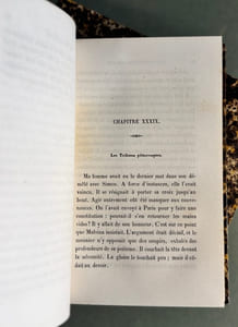 Jérome Paturot à la recherche de la meilleure des républiques.
