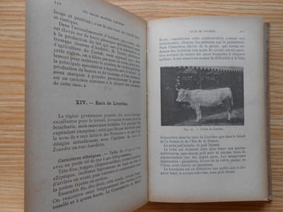 La Vache Laitière