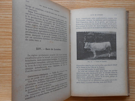 La Vache Laitière. Dechambre P.