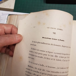 Les Fleurs animées. Introductions par Alph. Karr. Texte par Taxile Delord.-