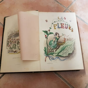 Les Fleurs animées. Introductions par Alph. Karr. Texte par Taxile Delord.-