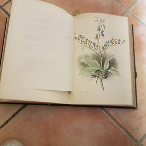 Les Fleurs animées. Introductions par Alph. Karr. Texte par Taxile Delord.-