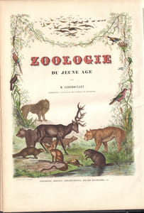 Zoologie du Jeune Age ou Histoire Naturelle des Animaux.-