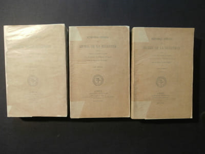 Mémoires inédits de Michel de la Huguerye, 1878, 1880