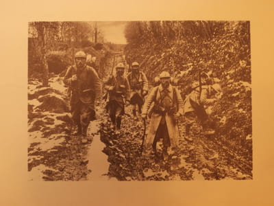 La guerre 1914-1919