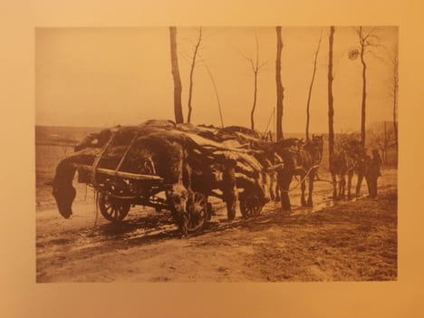 La guerre 1914-1919. Comandant Tournassoud