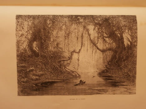 La Guyane française. Frédéric Bouyer