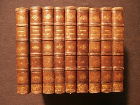 Oeuvres complètes de Buffon, avec les suppléments, augmentés de la classification de Cuvier, 9 tomes. Georges-Louis Leclerc comte de Buffon