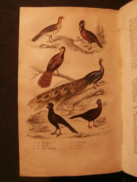 Oeuvres complètes de Buffon, avec les suppléments, augmentés de la classification de Cuvier, 9 tomes. Georges-Louis Leclerc comte de Buffon